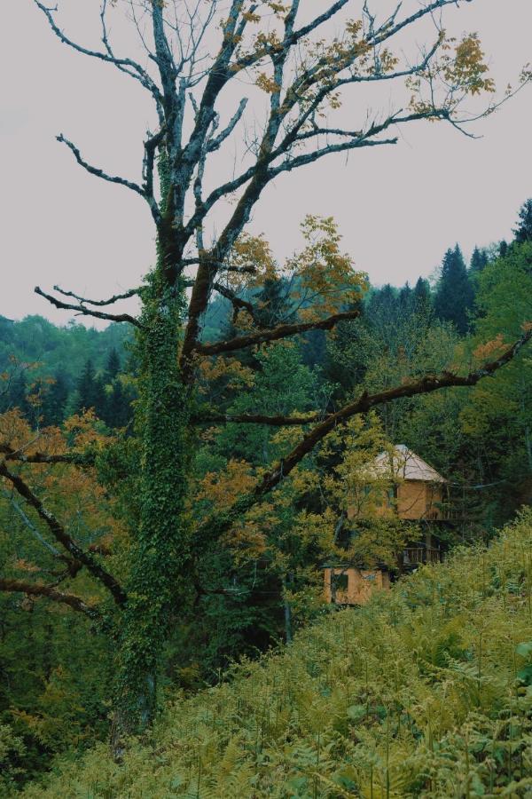 Hill Inn K'eda Buitenkant foto